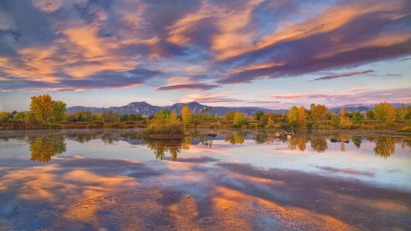 全自动稳定性智慧